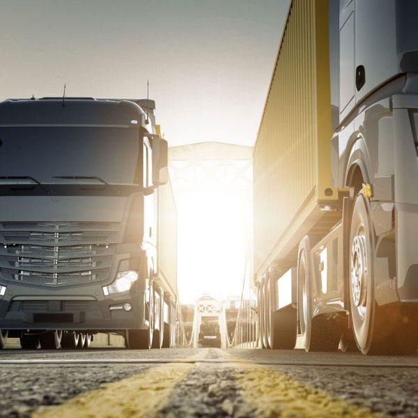 Revisione straordinaria